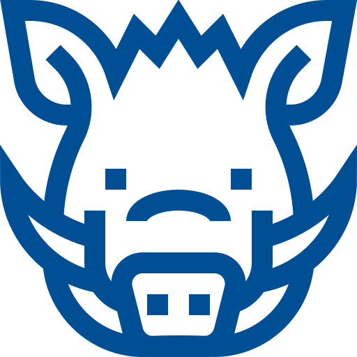 PentaDZIK